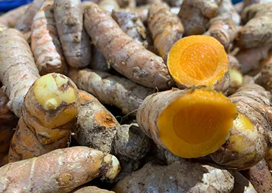 FRESH TURMERIC
