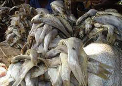 LANHOIN (Poisson salé fermenté)